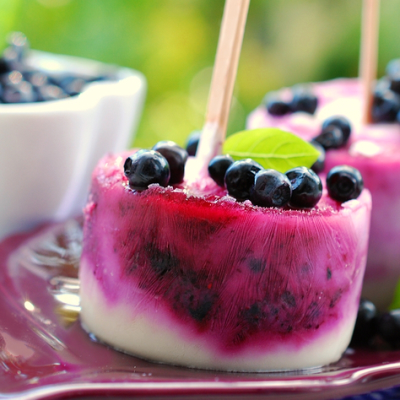 frozen-blueberry-dessert-recipe