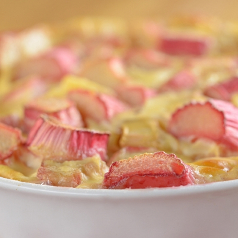 Baked Rhubarb Custard Recipe