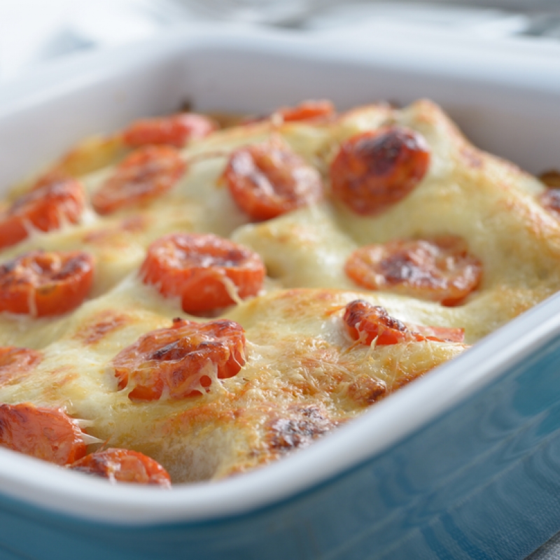 pasta-cheese-casserole-recipe