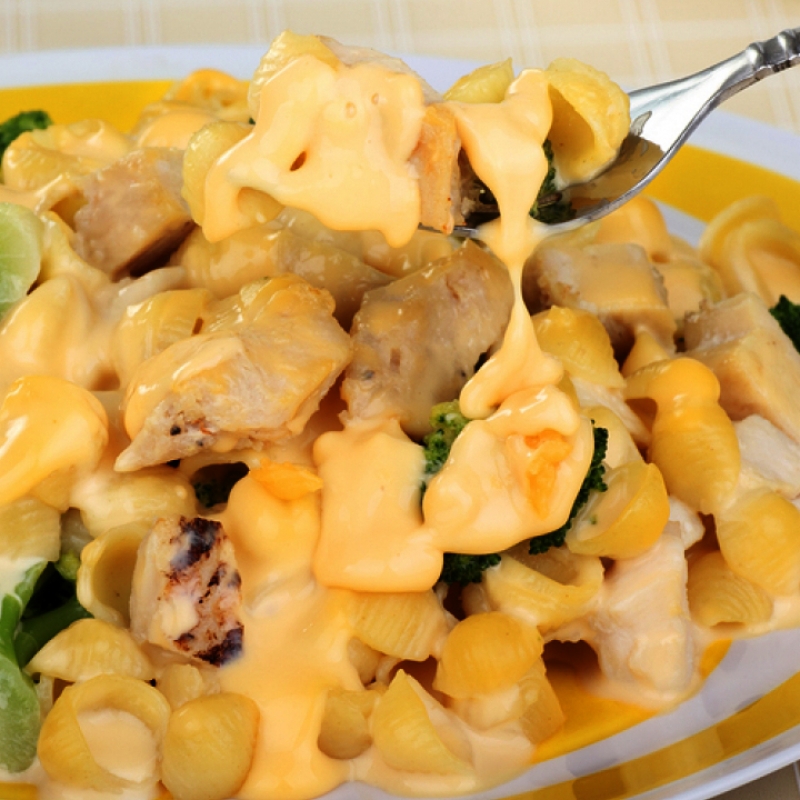 boiled chicken and elbow macaroni recipes