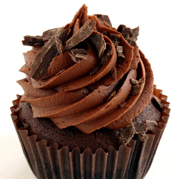 Double Chocolate Cupcakes