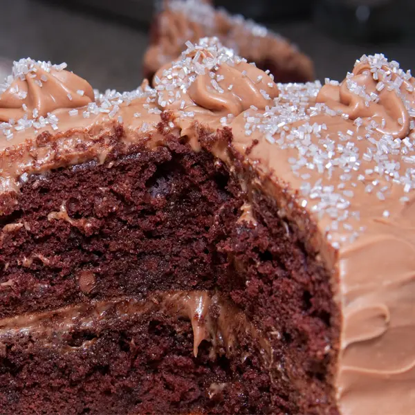Mocha Cream Frosted Deep Dark Chocolate Cake