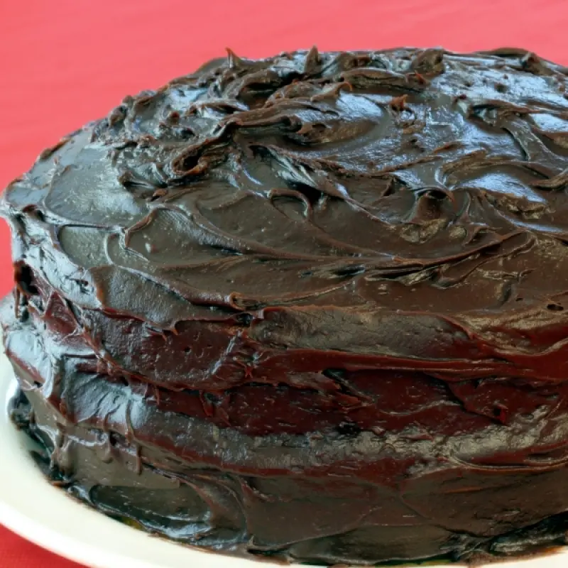 Chocolate Fudge Icing