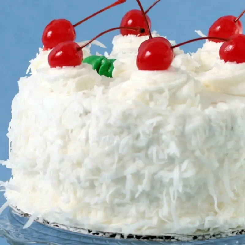 Coconut Whipped Frosting on Delicious Chocolate Cake