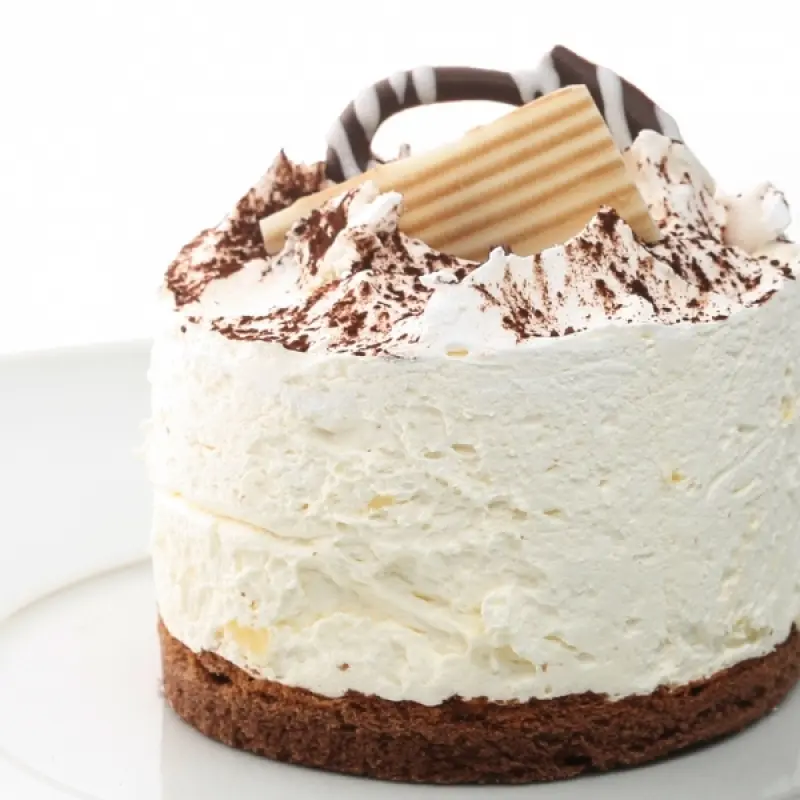 Delightful Mini Cheesecake