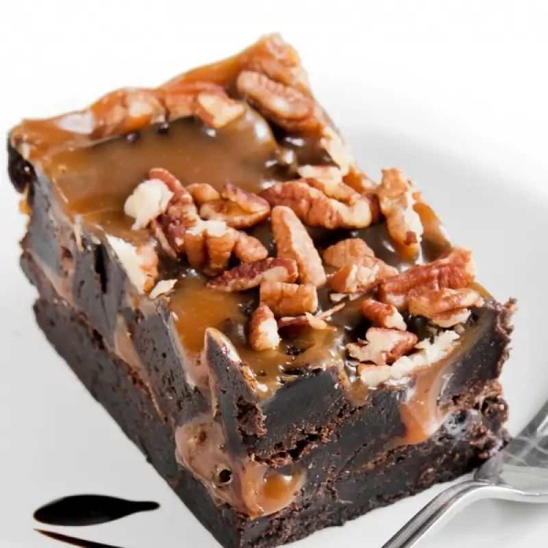 Turtle Fudge