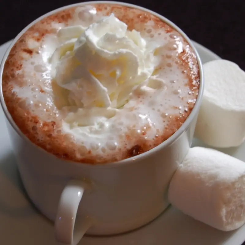 The Perfect Hot Chocolate