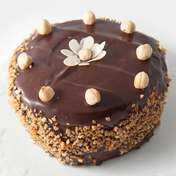 Chocolate Ganache Nut Torte