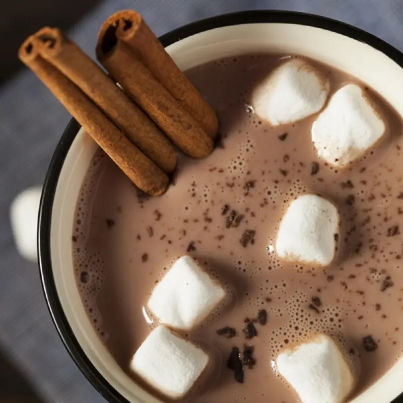 Gourmet Cinnamon Hot Chocolate