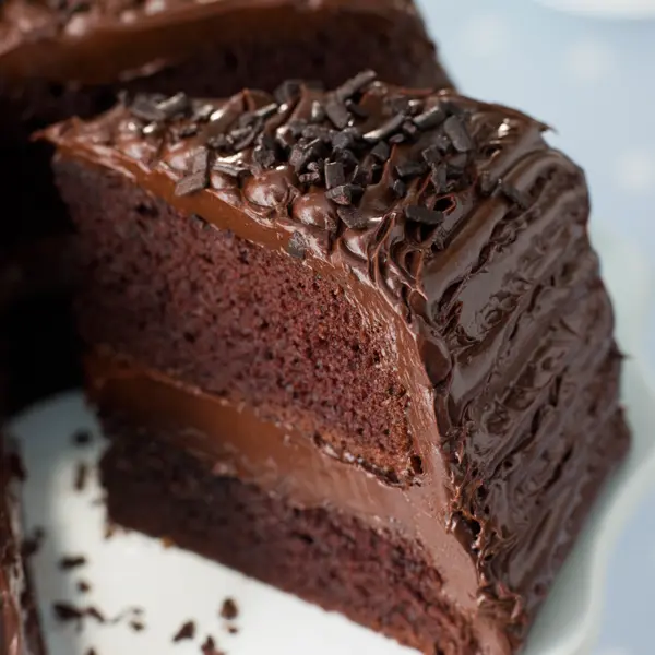 Dark Chocolate Fudge Cake