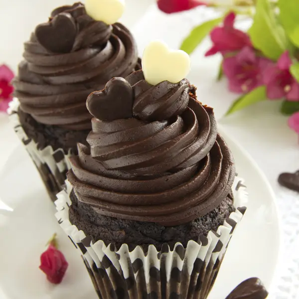 Chocolate Cupcakes with Chocolate Icing