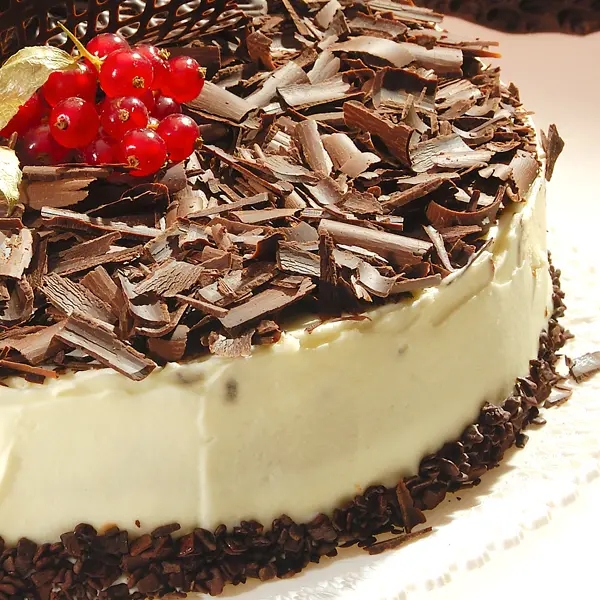 Cake With Frosting