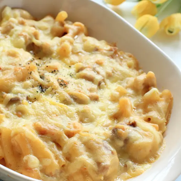 Chicken and Macaroni Gratin