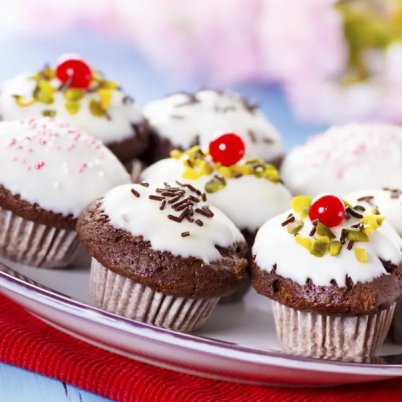 Double Chocolate Cupcakes