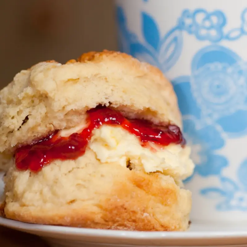 Homemade Scones