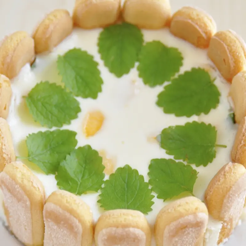 Cheesecake With Ladyfingers