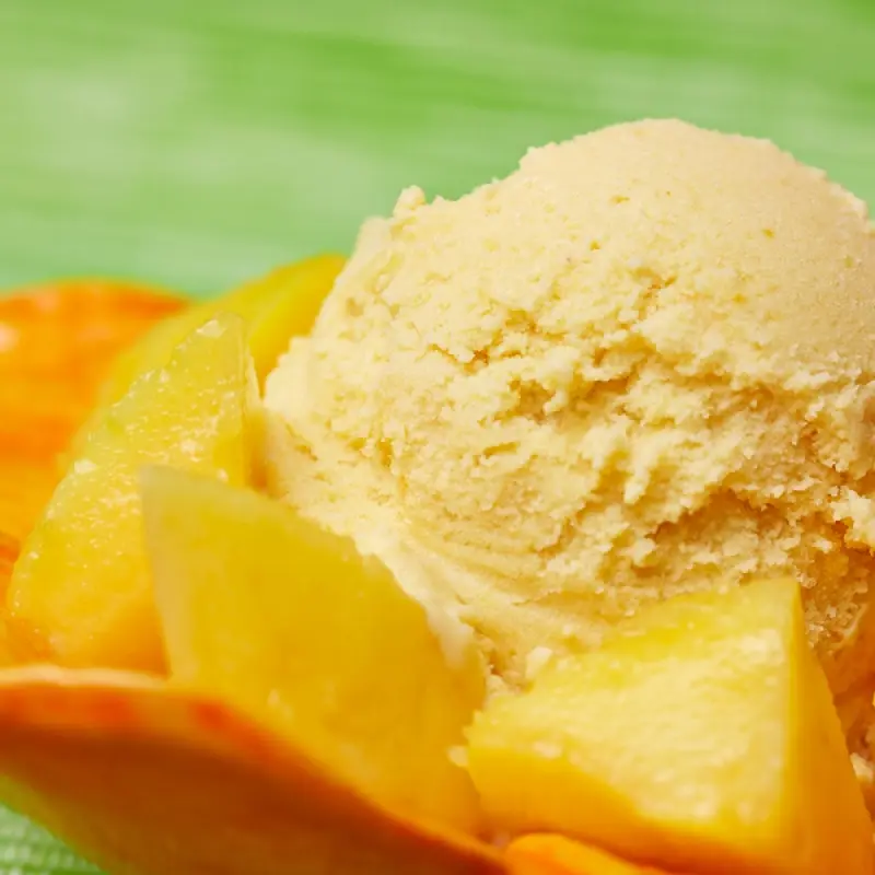 Mango Frozen Yogurt