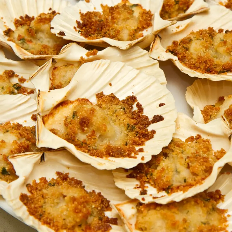 Scallops Au Gratin