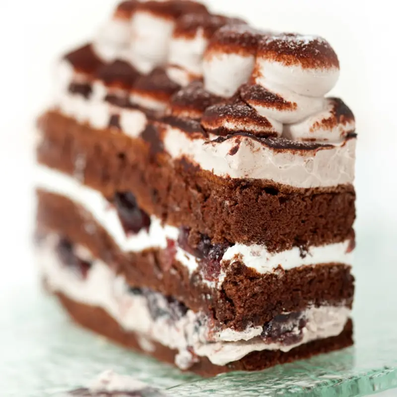 Marshmallow Chocolate Cake