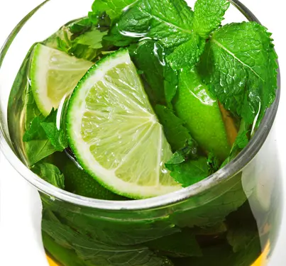 Summer Mint Mojito