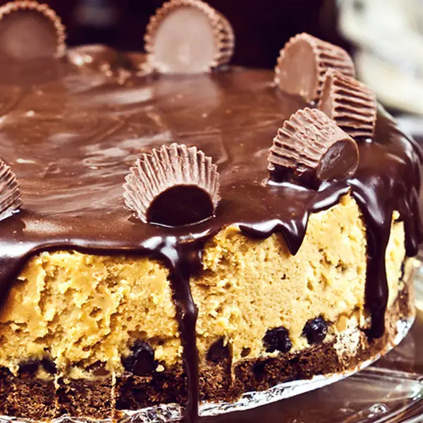 Peanut Butter Cup Pie