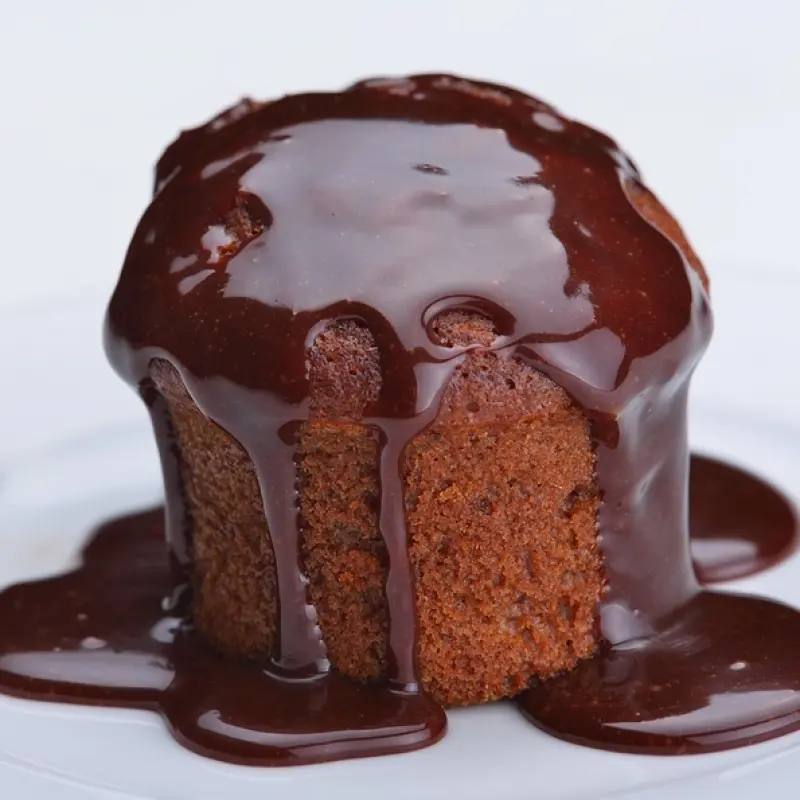 Chocolate Muffin