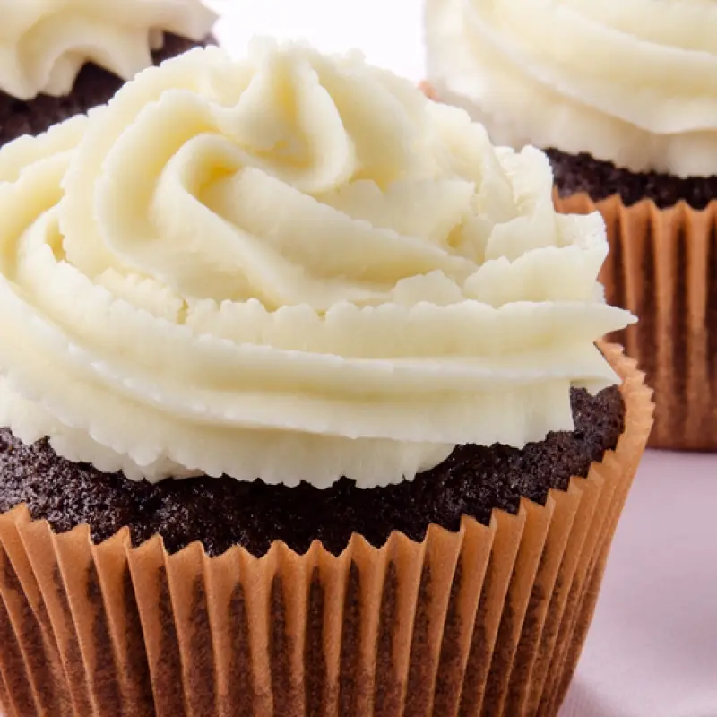 Chocolate Chip Chocolate Cupcakes