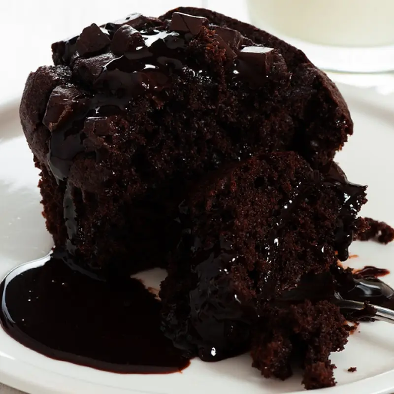 Chocolate Chocolate Chip Muffins