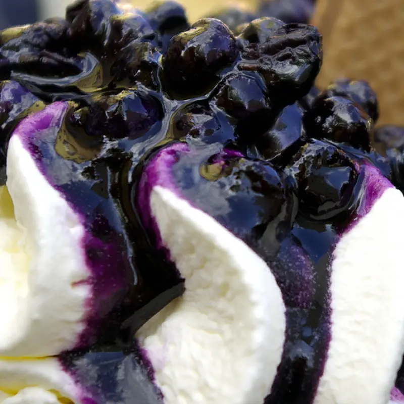 Homemade Vanilla Ice Cream