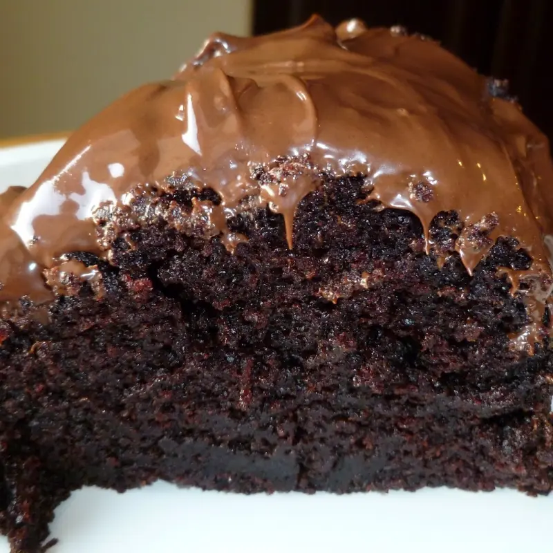 Cocoa Fudge Cake with Chocolate Frosting