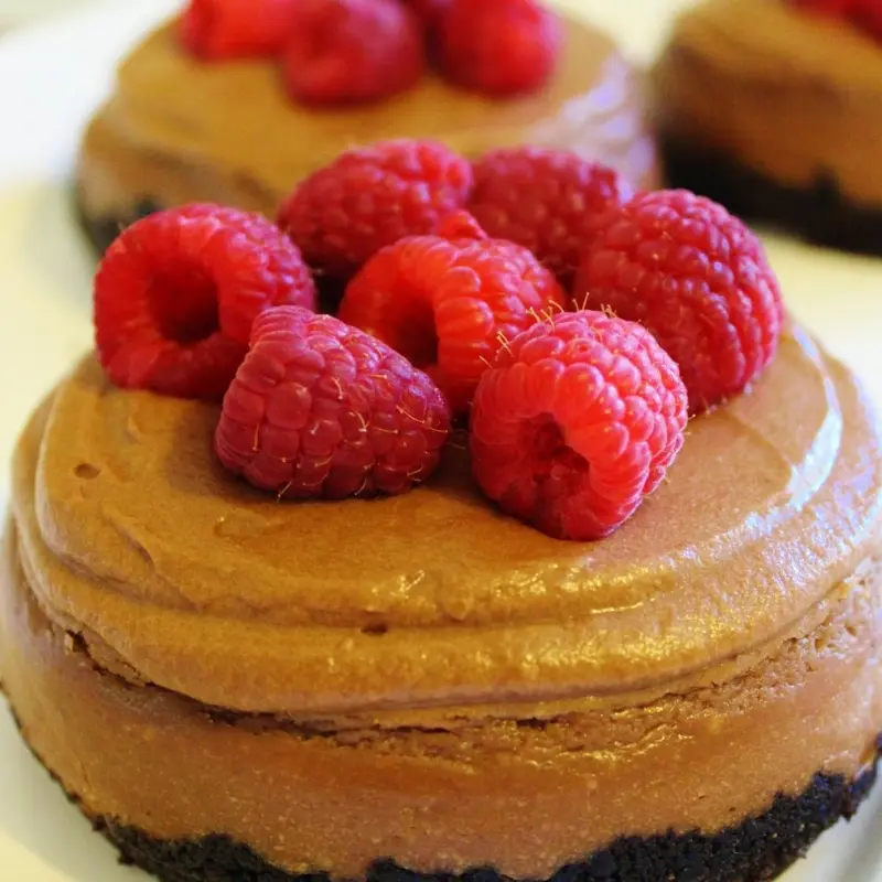 Mini Nutella Cheesecakes