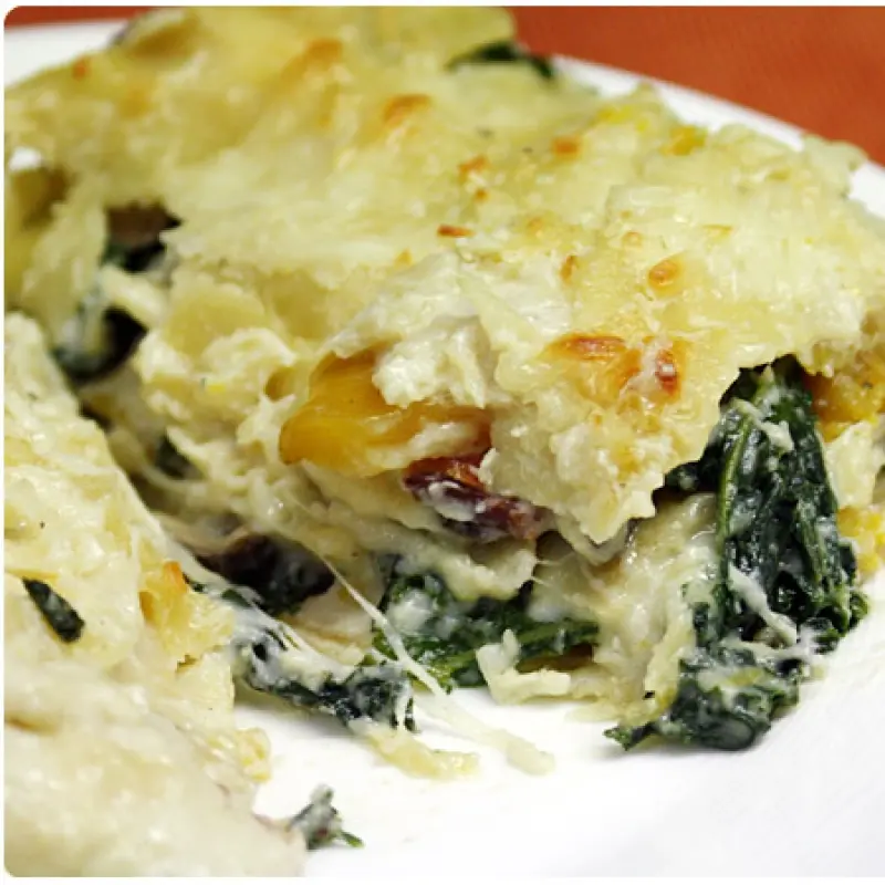 Vegetable Lasagna with White Sauce