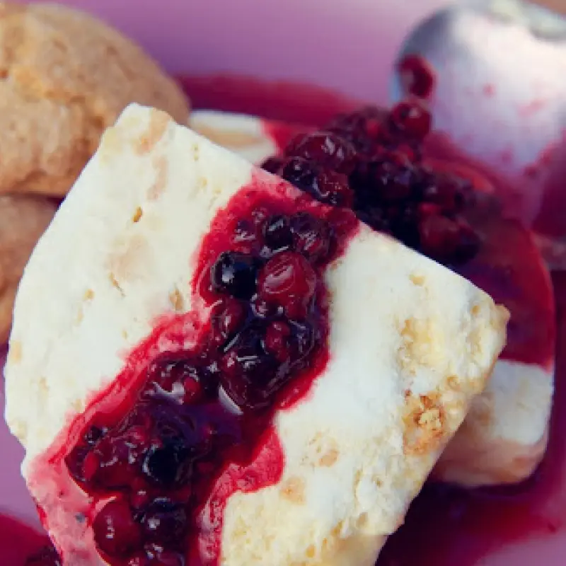 Semifreddo al Amaretti con Frutta di Bosco