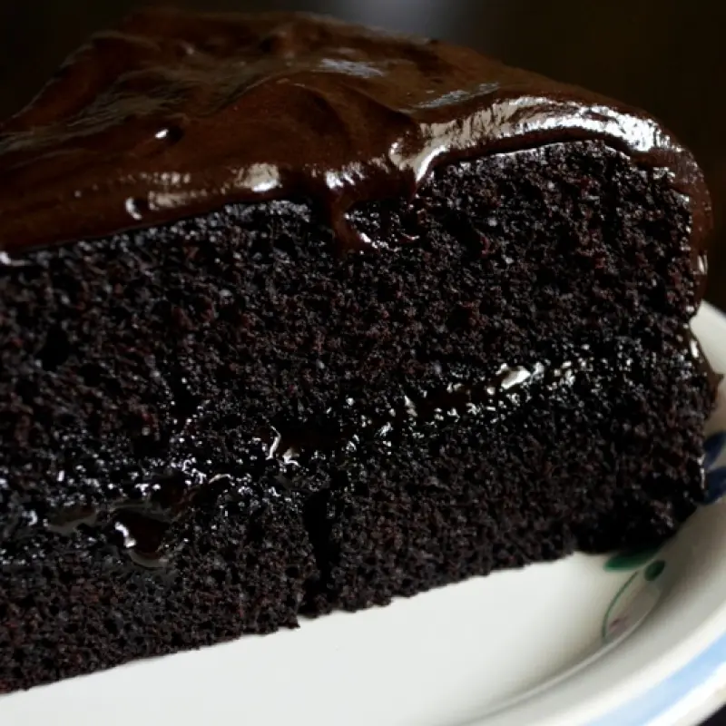 Dark Chocolate Fudge Cake