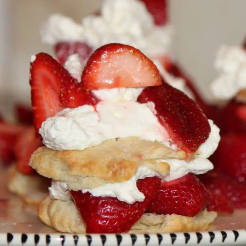 Summer Strawberry Shortcake