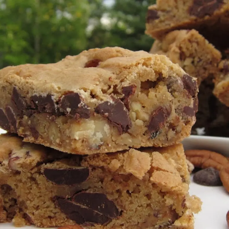 Pecan Chocolate Chip Bars