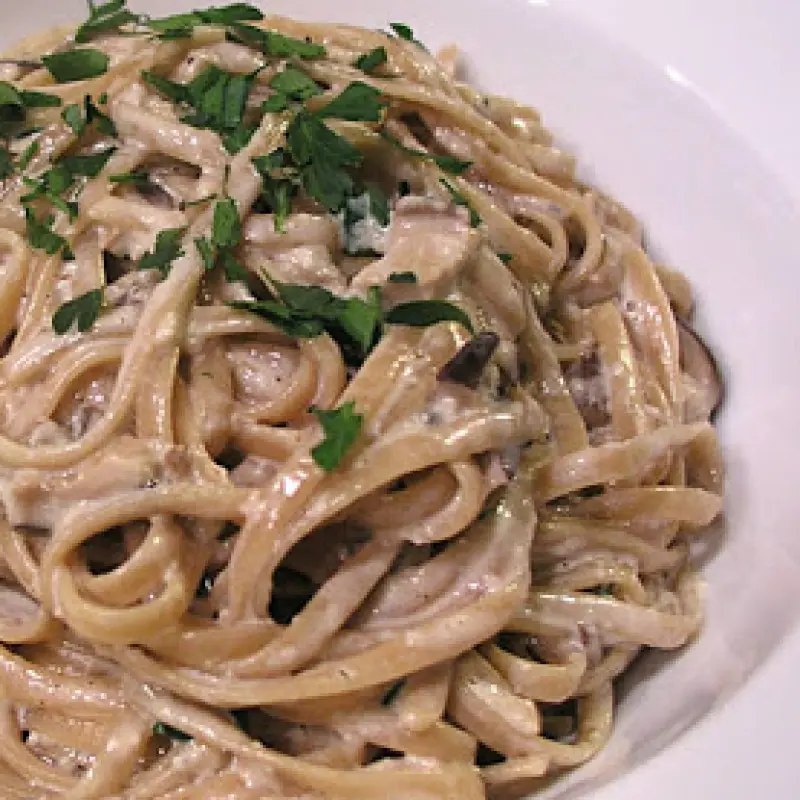 Fettucini Porcini Mushroom Cream Pasta