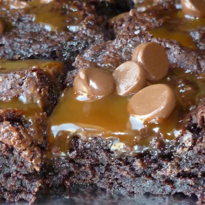 Caramel Chocolate Chip Brownies