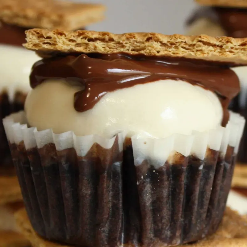 Smore Cupcake