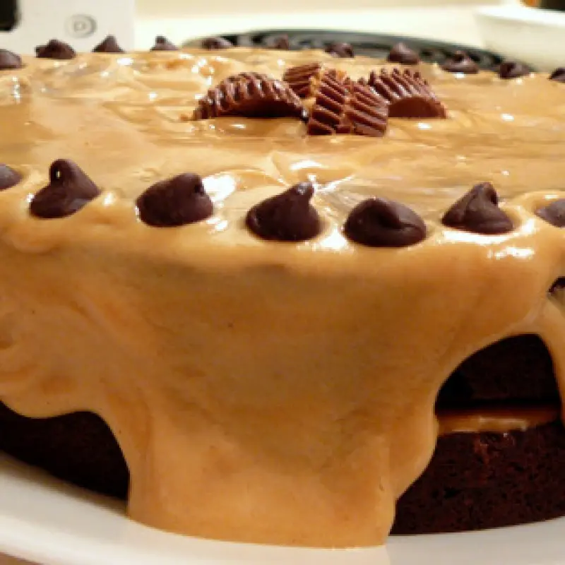 Rich Chocolate Peanut Butter Torte