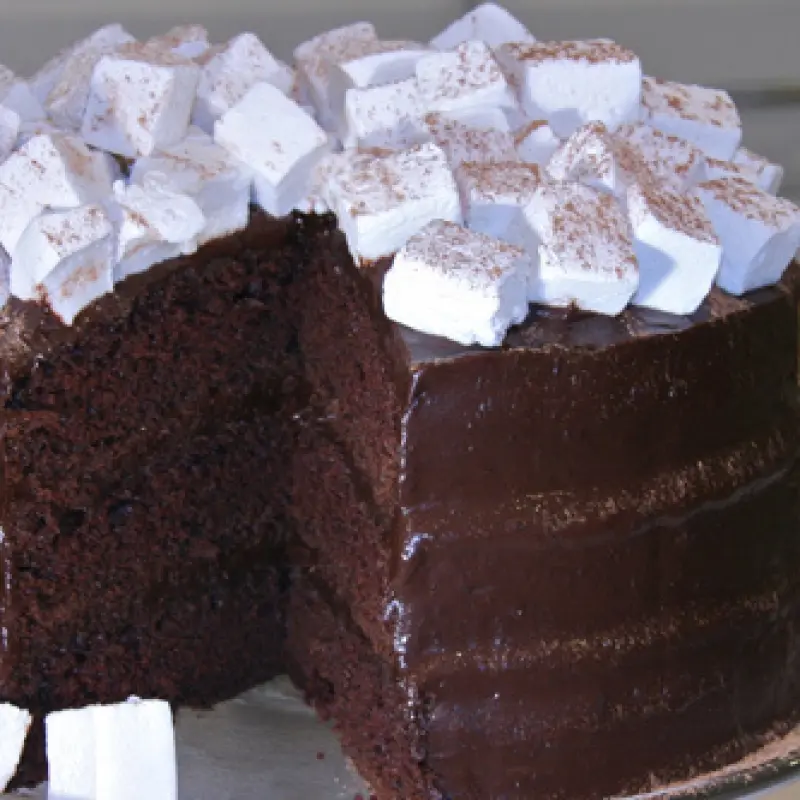 Hot Cocoa Cake
