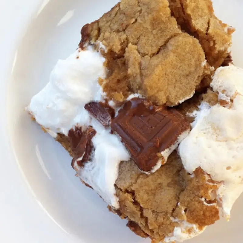 Amazing Smore Bars
