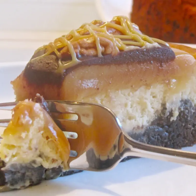 Yummy Turtle Cheesecake