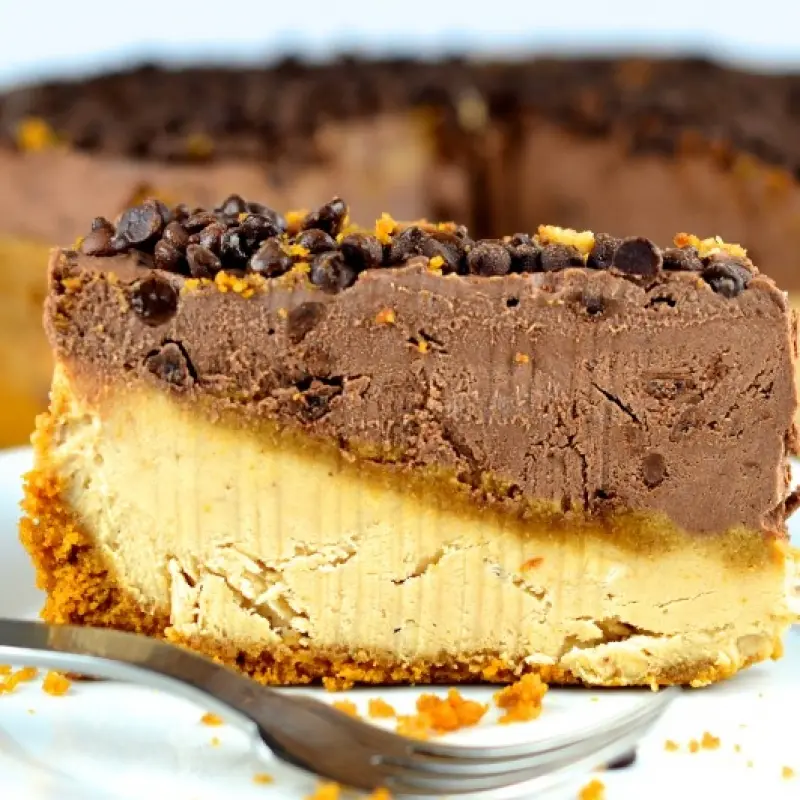 No Bake Peanut Butter Chocolate Cheesecake