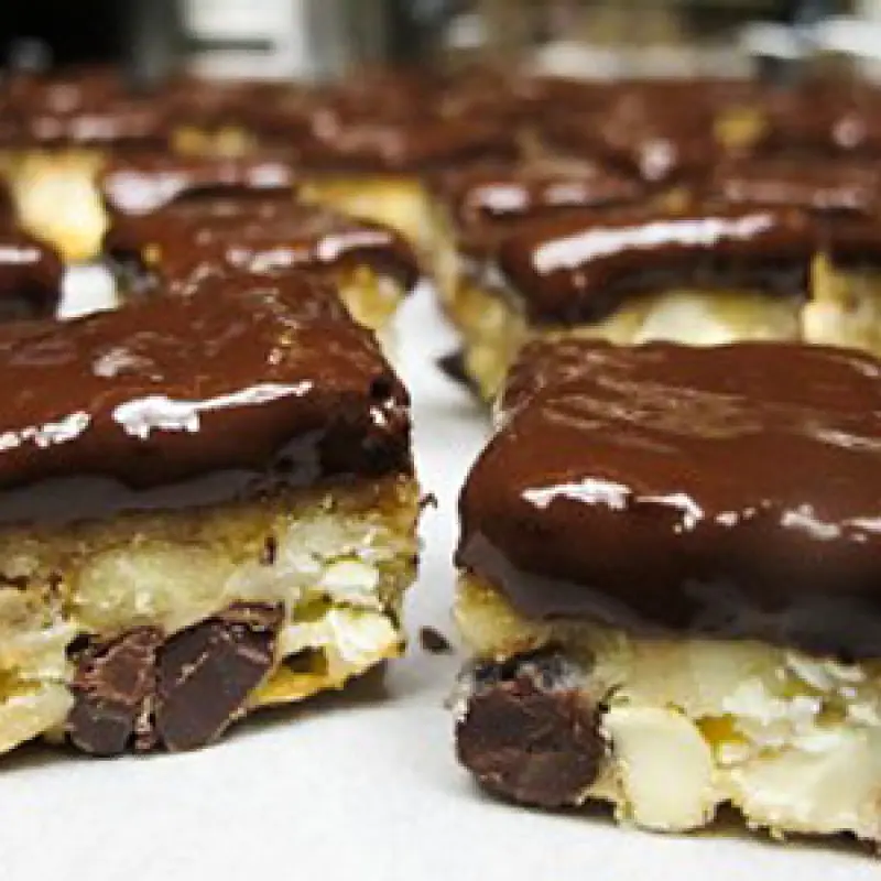 Chocolate Chip Coconut Squares