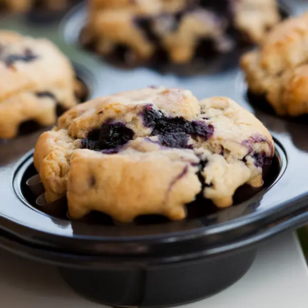 Perfect Blueberry Muffins