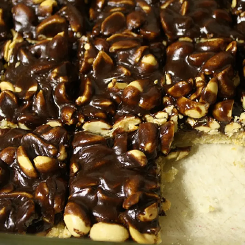 Chocolate Nut Bars