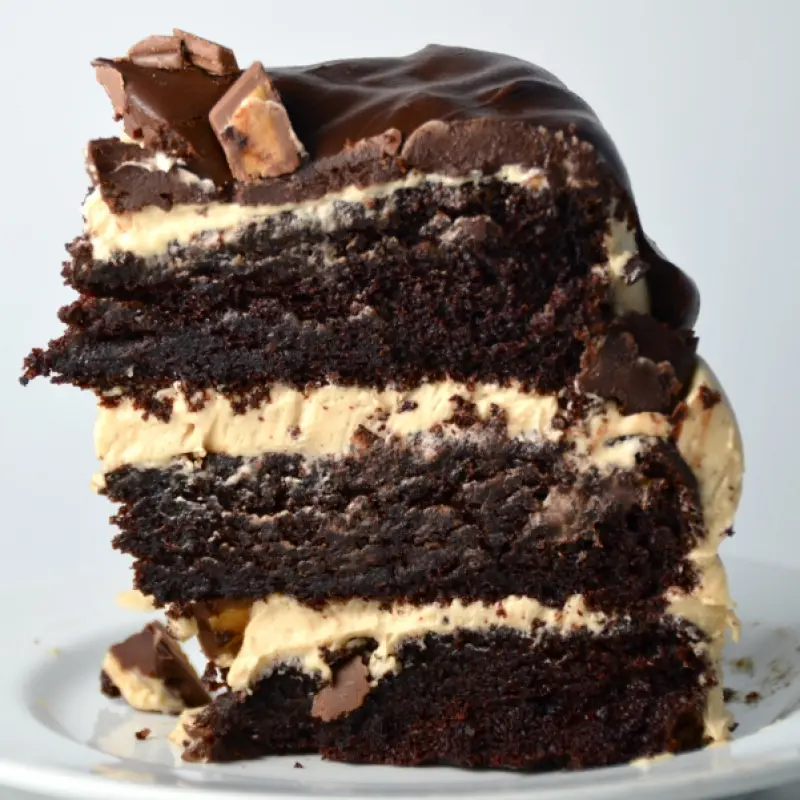 Chocolate Peanut Butter Cup Overload Cake