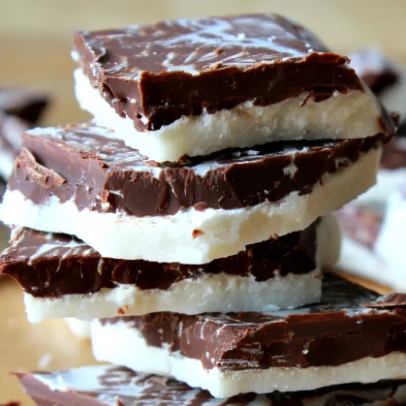 Chocolate Coconut Butter Bars