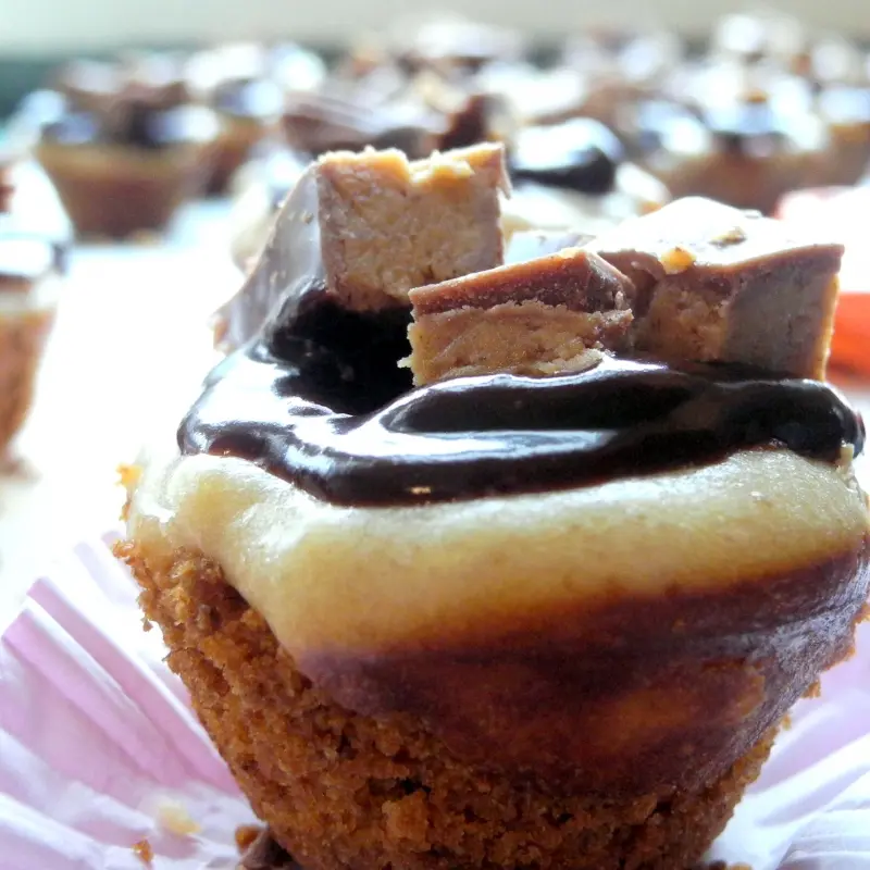 Mini Reese�s Cheesecake Bites
